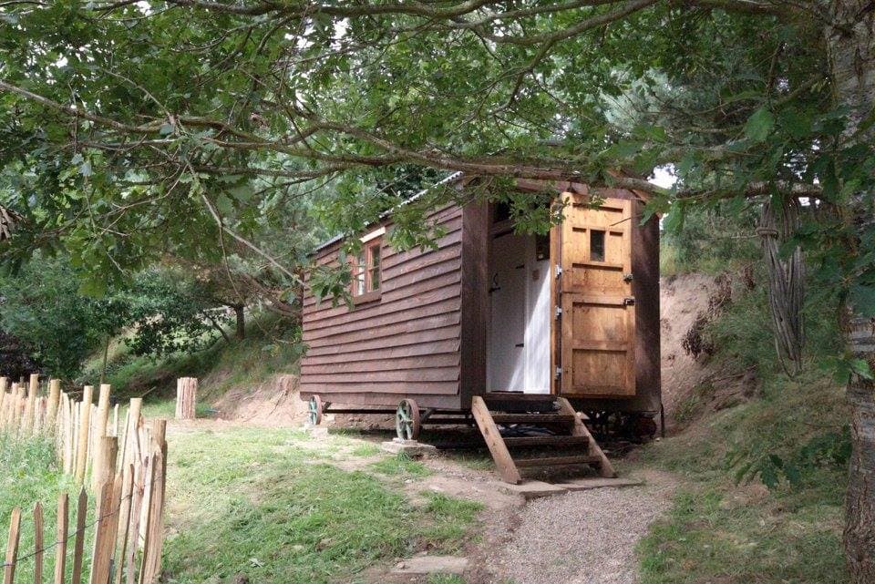 Wooden shepherd hut nestled among trees, with steps leading to a door and a gravel path in a serene setting.