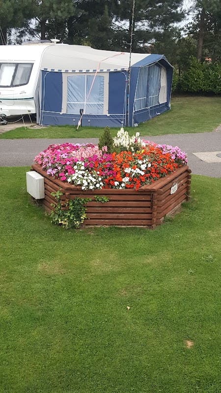 Colorful flower bed surrounded by wooden edging, with a caravan and tent in the background at Springfield Caravan Park.