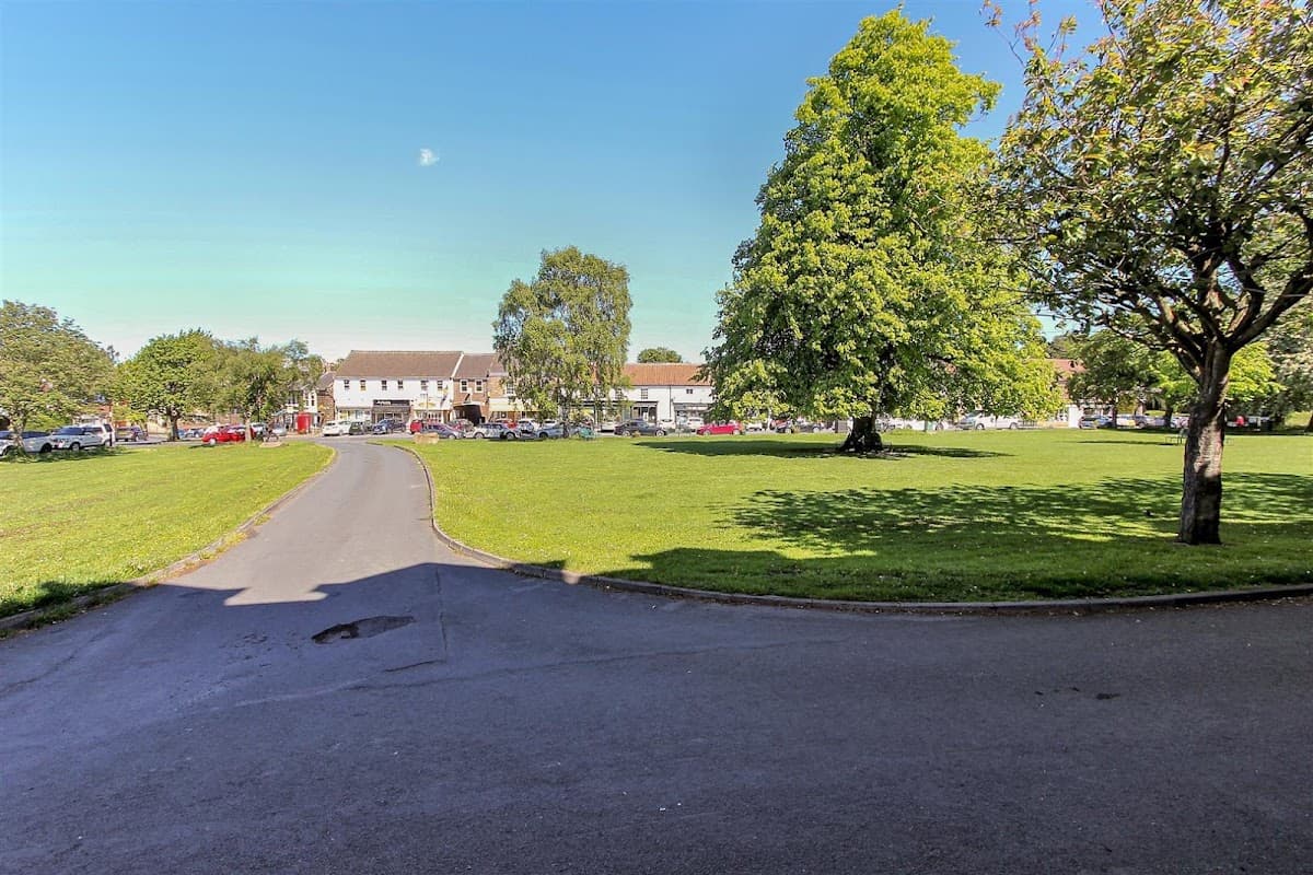 Lush green park with trees, a winding path, and buildings in the background under a clear blue sky.