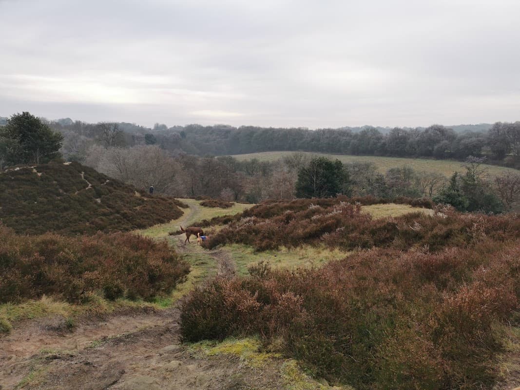 Free parking area with grassy hills, heather, and distant trees in Bardsey, Yorkshire, under a cloudy sky.