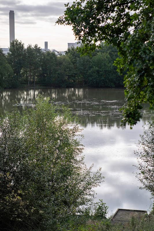 Calm water reflecting clouds, surrounded by lush greenery and distant industrial structures at Barlow Common Nature Reserve.