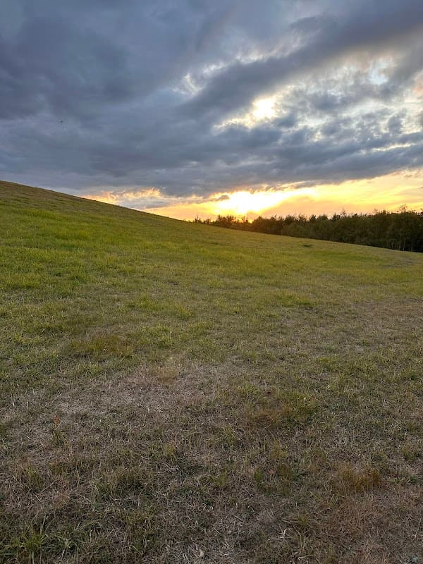 Barnsley Main Nature Reserve - Nature Reserves in barnsley