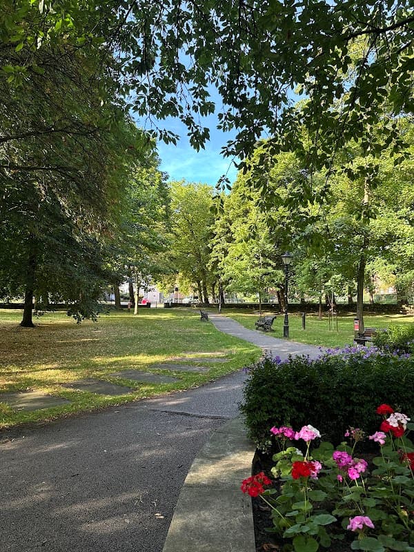 Pathway winding through lush greenery and flowering plants in Churchfields Peace Gardens, Barnsley.