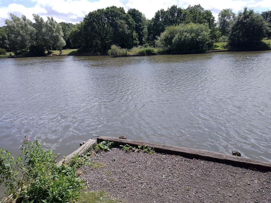 Serene view of a river bordered by trees, with a wooden jetty and grassy area in the foreground.
