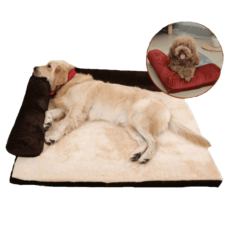 Spoilyourpet - Pet Shops in barnsley