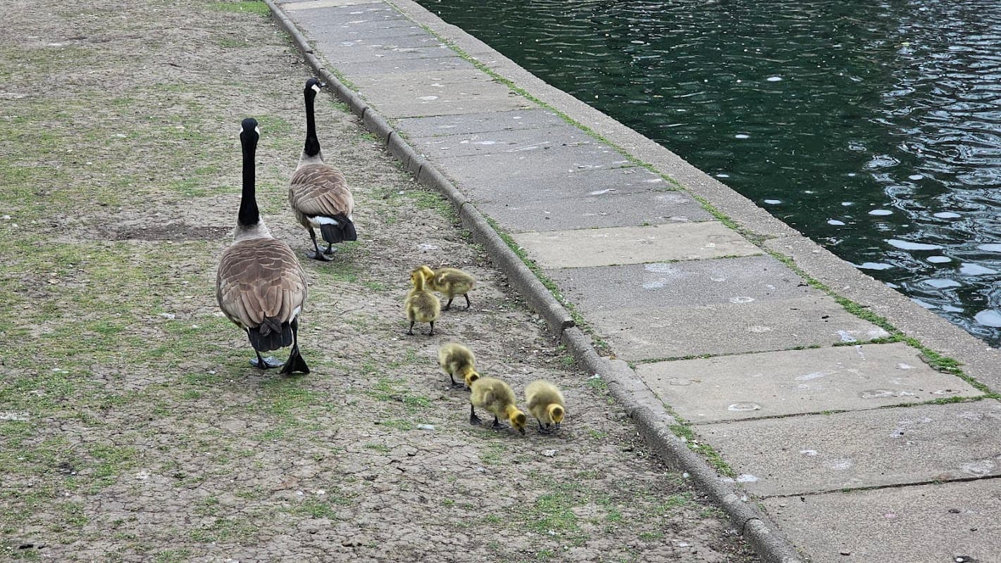 Wilton Park Playground - Playgrounds in batley