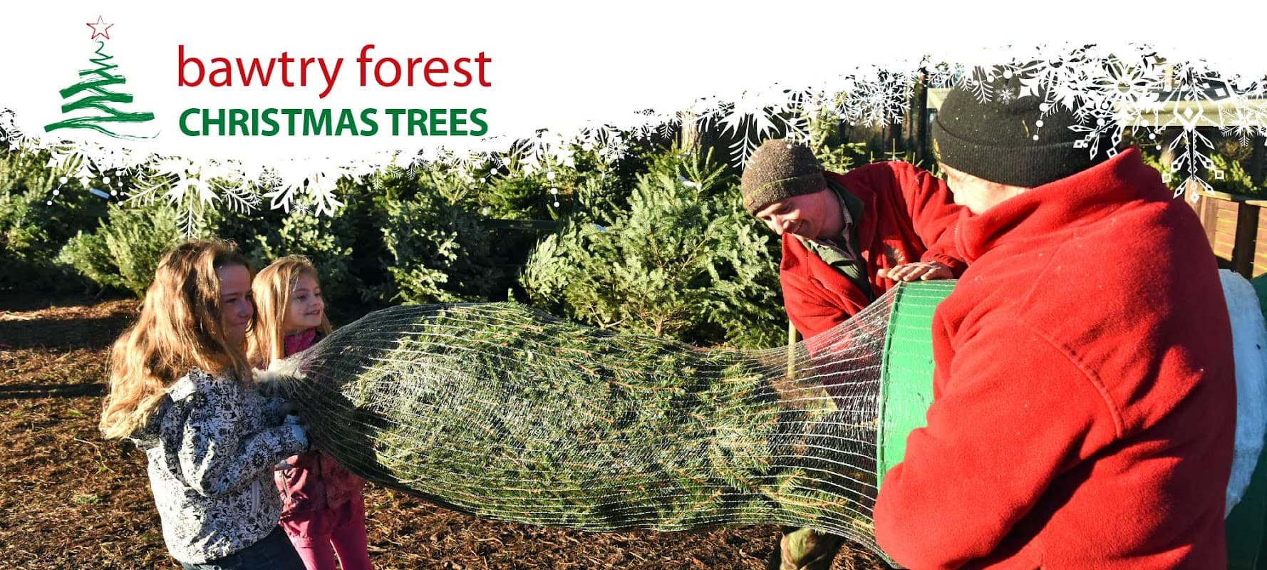Bawtry Forest Christmas Trees - Gift Shops in bawtry