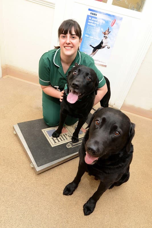 Raoul Dowding Vets, Bawtry - Vets in bawtry