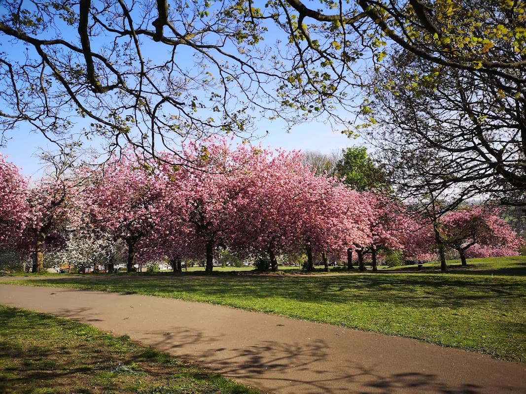 Western Flatts Cliff Park - Park in beeston