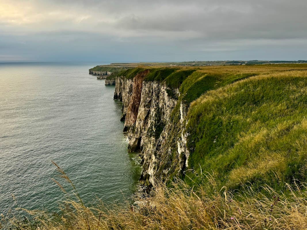 Cliffs overlooking the sea at Bempton, Yorkshire, with lush green grass and a cloudy sky.