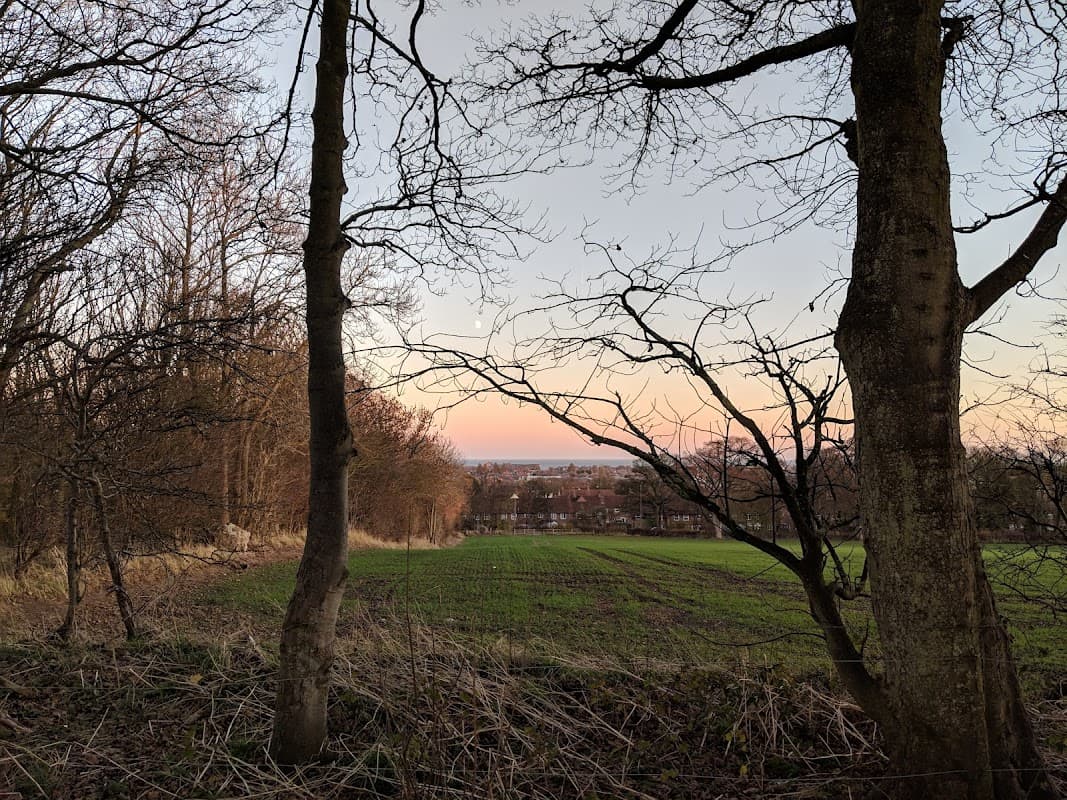 Sunset view over a green field framed by trees, with distant buildings and a calm sky in Bessingby, Yorkshire.