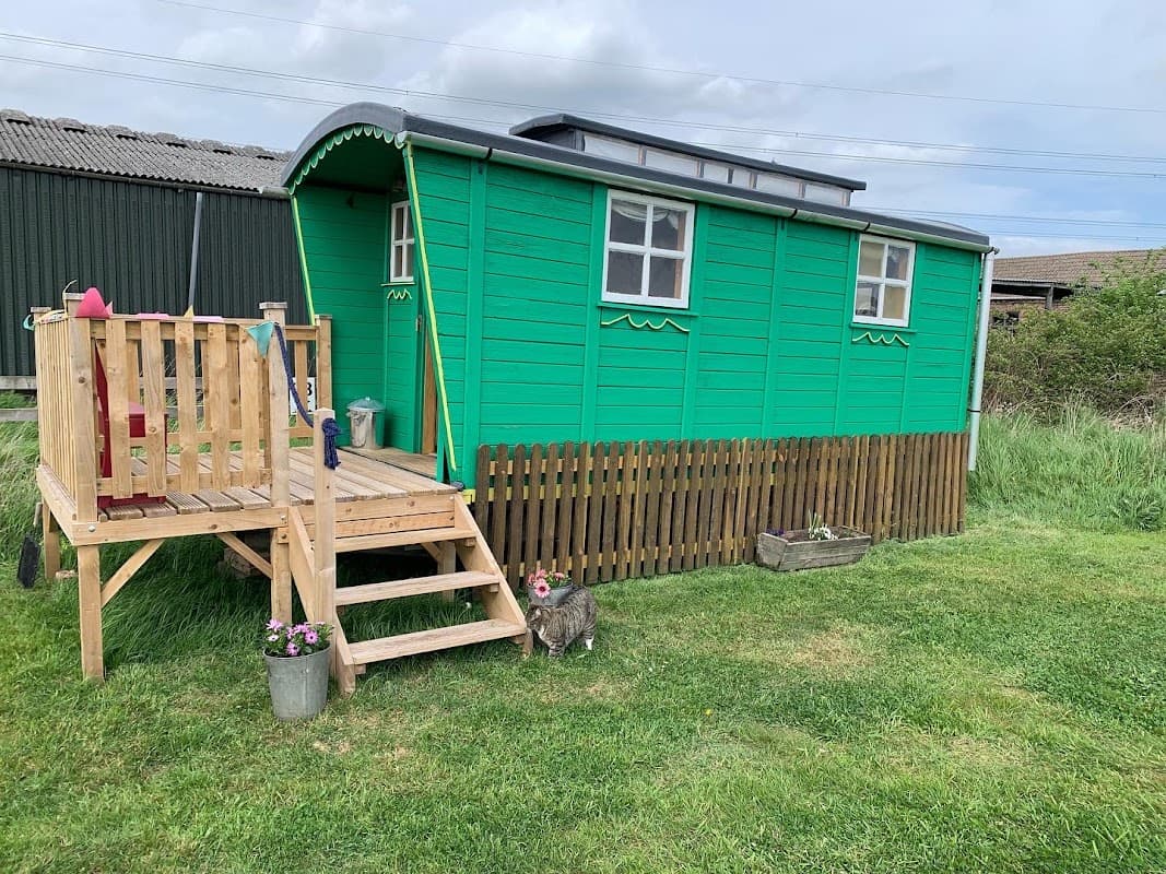 Accommodation at Butt Farm Caravan, Campsite & Glamping in beverley