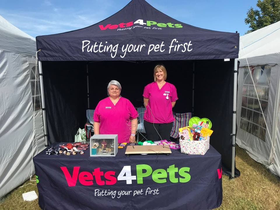 Vets4Pets - Beverley - Vets in beverley