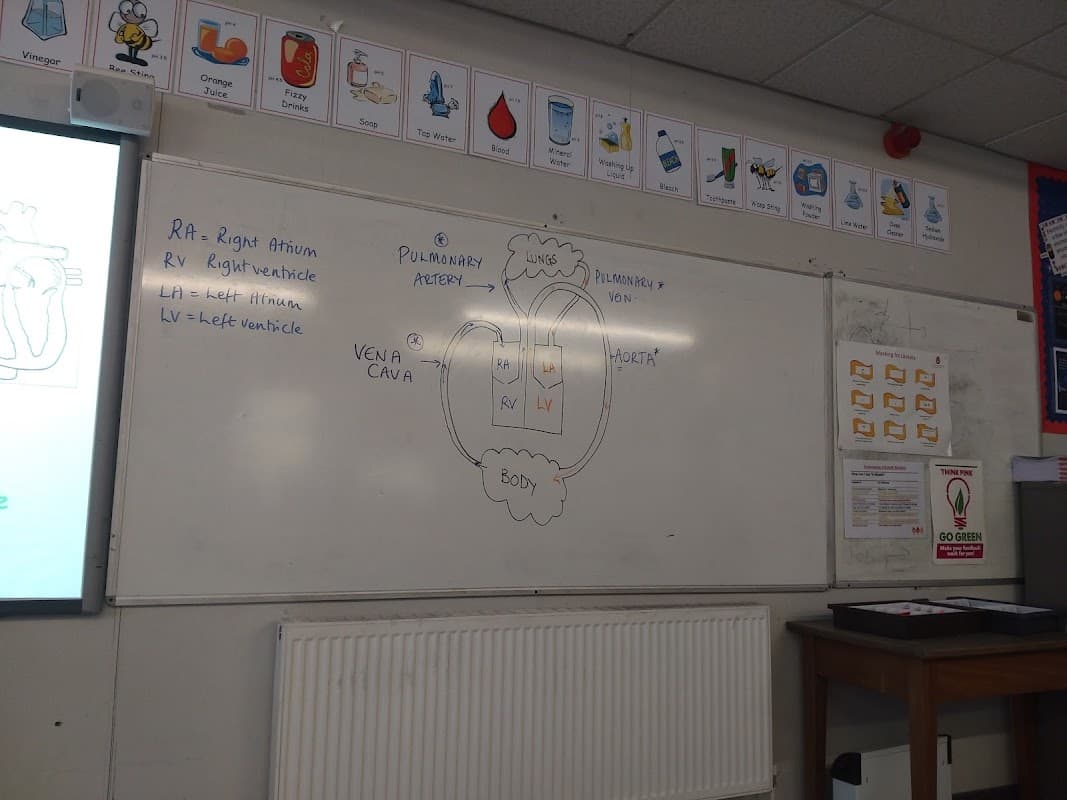 Bingley Grammar School - Secondary Schools in bingley