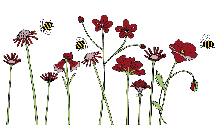 Just Wills And Legal Services Ltd - Solicitors in bingley