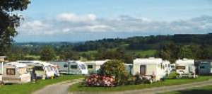 Black Swan Holiday Park - Campsite in fearby