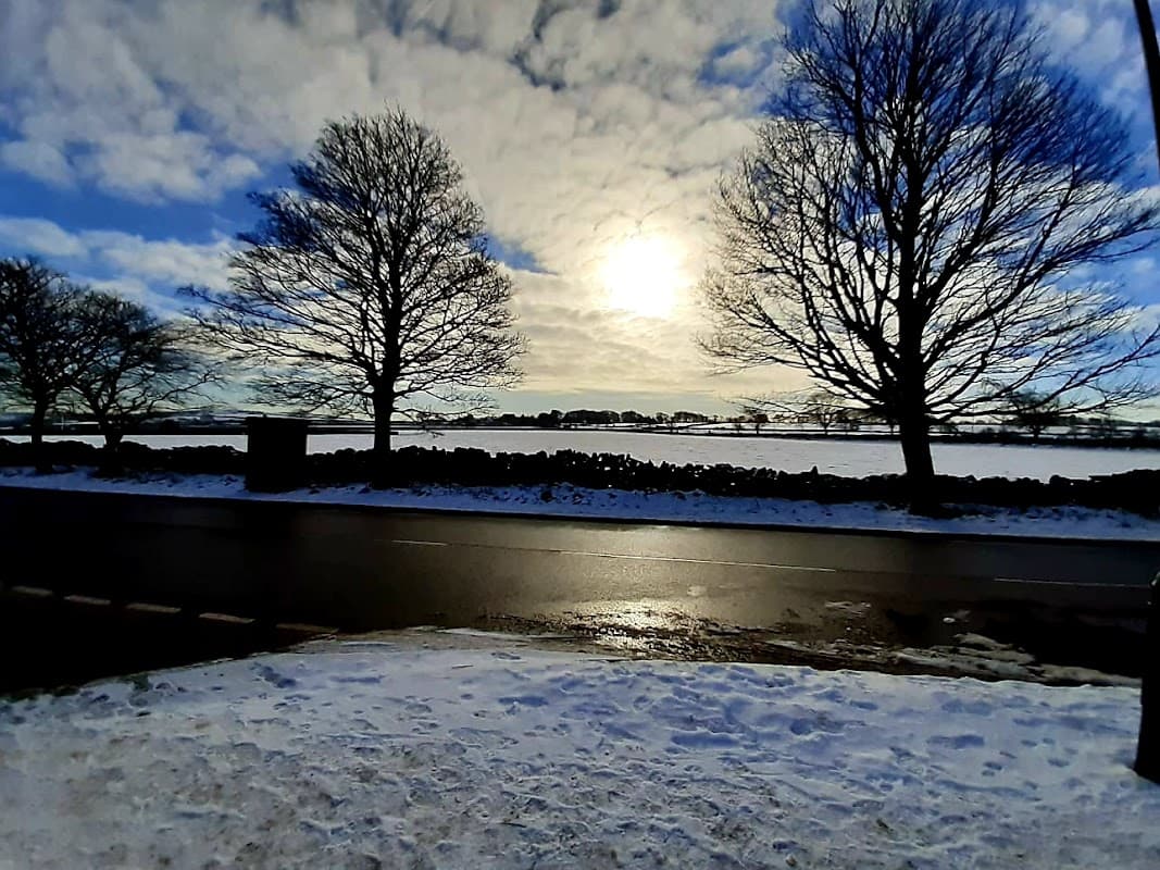 Bus Stop at Cedar Road/Coal Pit Lane - Bus Stops in bolsterstone ewden village