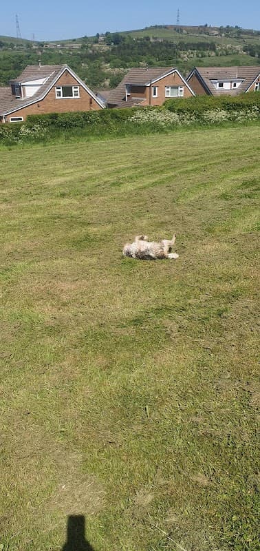 Cross Lane Open Space - Park in bolsterstone ewden village