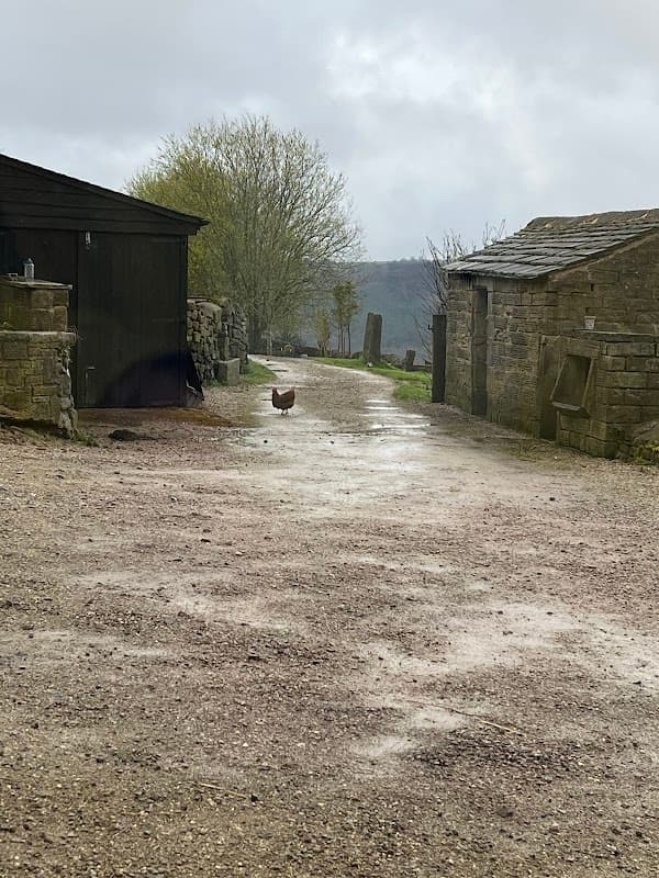 Accommodation at Hob Lane Farm Cottage in bolsterstone ewden village