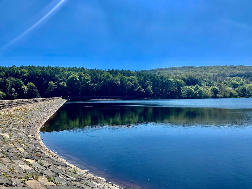 Calm reservoir surrounded by lush green trees under a clear blue sky, with a stone embankment along the water's edge.