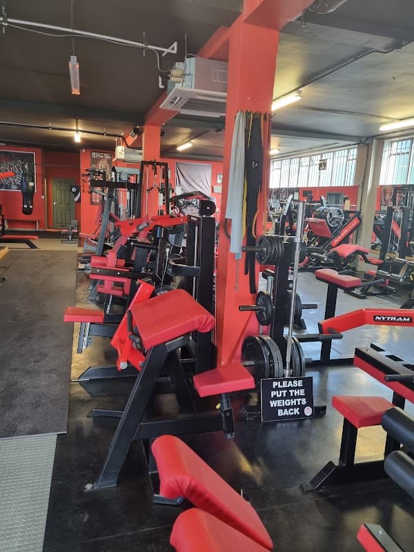 Muscle Empire - Gyms in bolsterstone ewden village