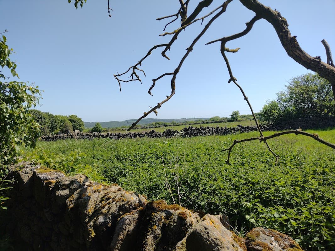New Hall Wood - Park in bolsterstone ewden village