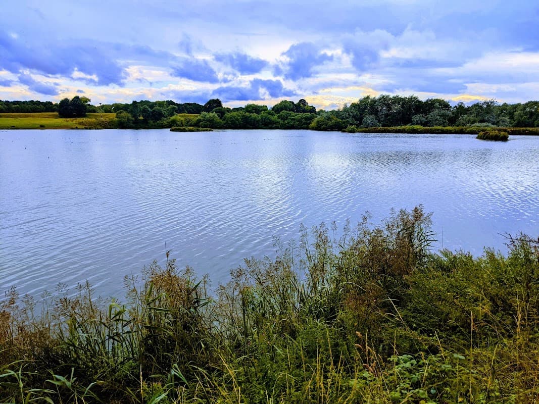 Serene lake surrounded by lush greenery under a cloudy sky at Bolton-on-Swale Nature Reserve.