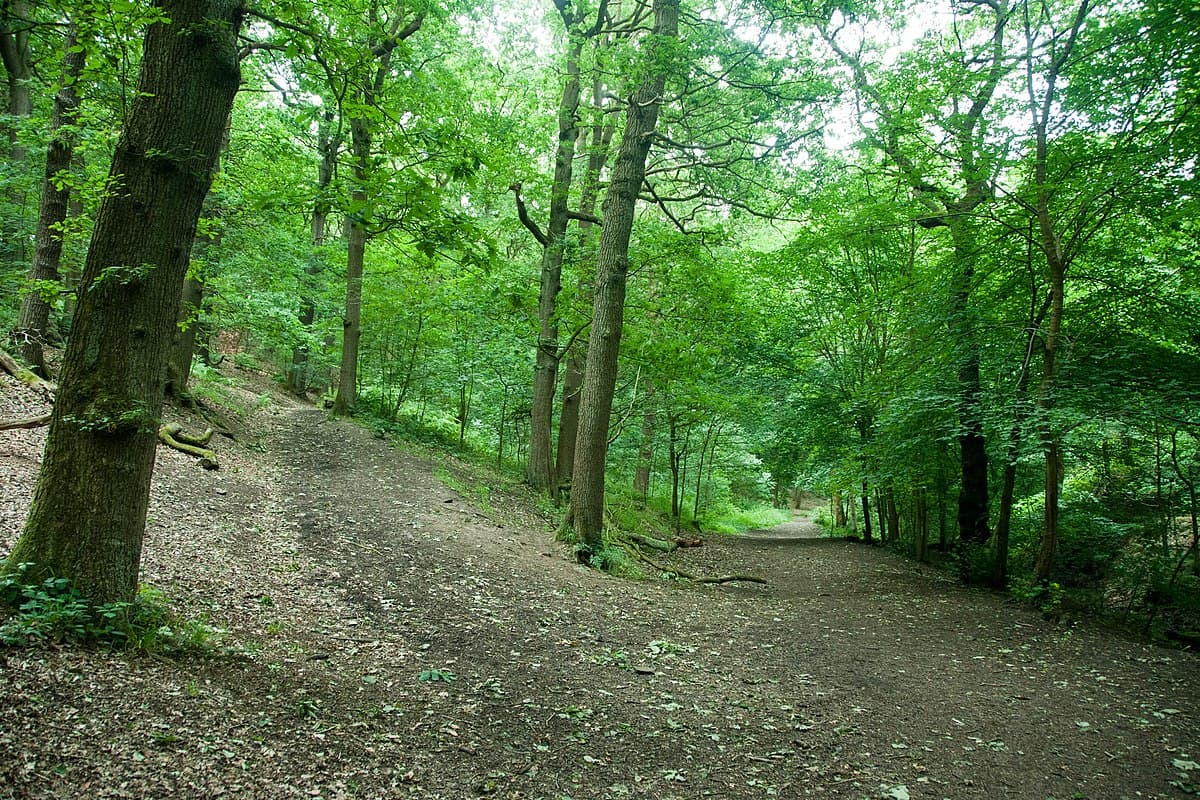 Northcliffe Park - Park in bradford