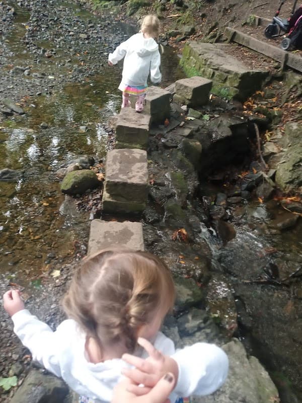 The Wilderness - Park in bradley