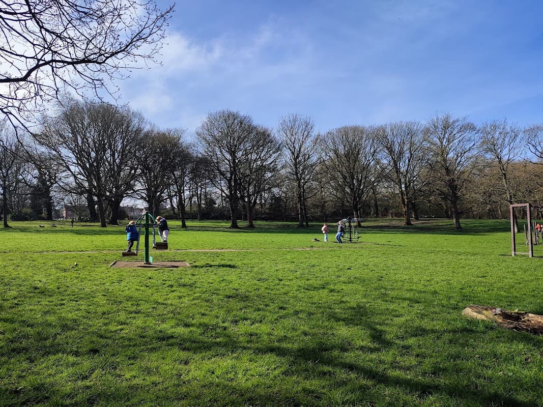 Lush green park with swings and people enjoying the outdoors under a clear blue sky and bare trees.