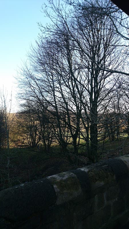 Bus Stop at Bramley Fall Park - Bus Stops in bramley