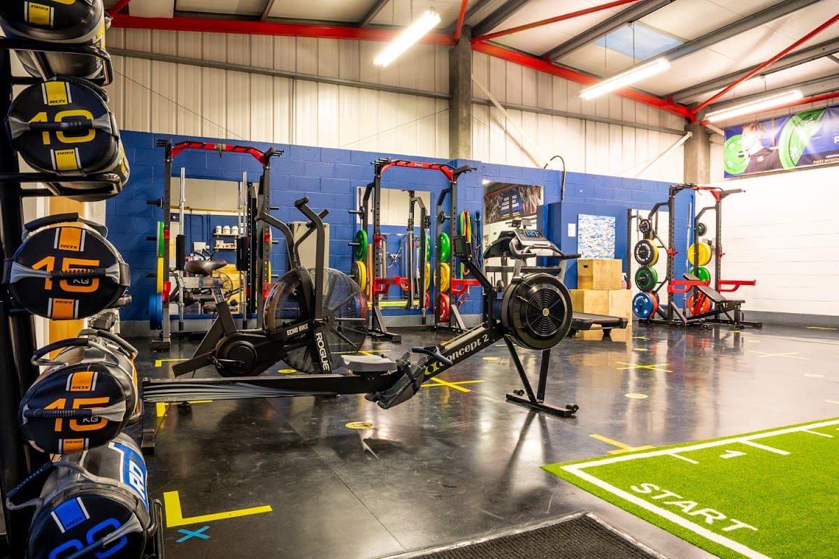 Interior of Lion Fitness gym with weightlifting equipment, rowing machines, and a green turf area marked "START."