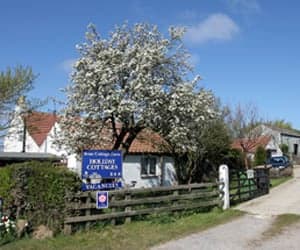 Accommodation at Briar Cottage & Bramble Cottage in bagby