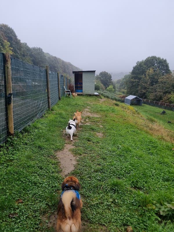 Brighouse Dog Field - Park in brighouse