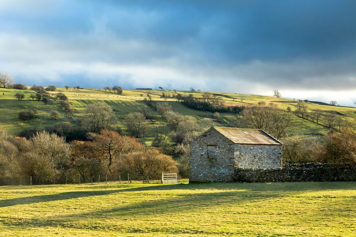 Stone shed on grassy field with rolling hills and trees under a cloudy sky in Yorkshire Dales National Park.