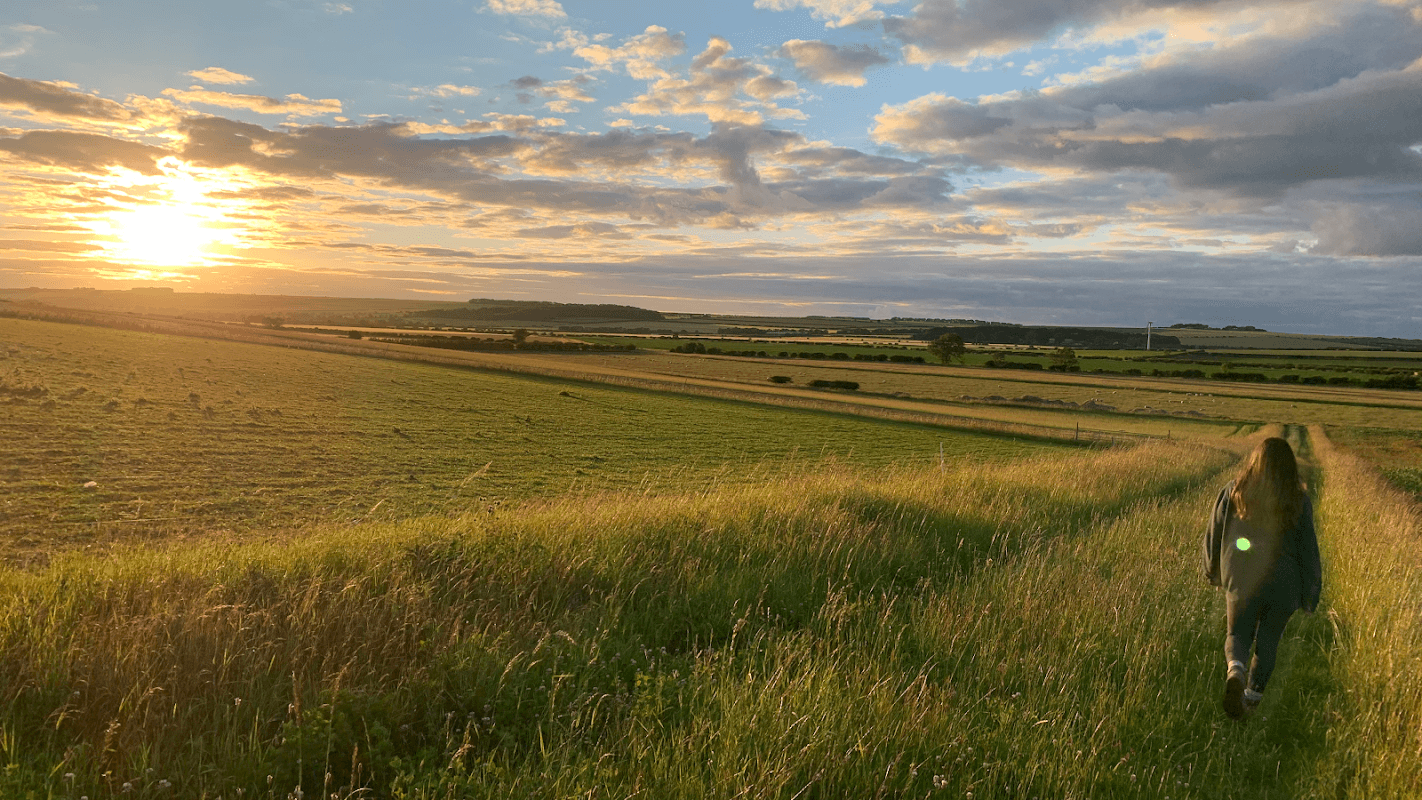 Sunset over lush green fields at PoppyField Farm, with a horse walking along a path in the foreground.