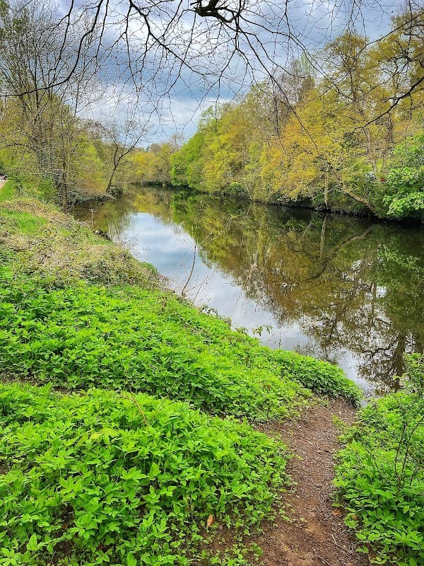 Lush green foliage lines a serene riverbank, reflecting trees under a cloudy sky at Mackintosh Park, North Yorkshire.