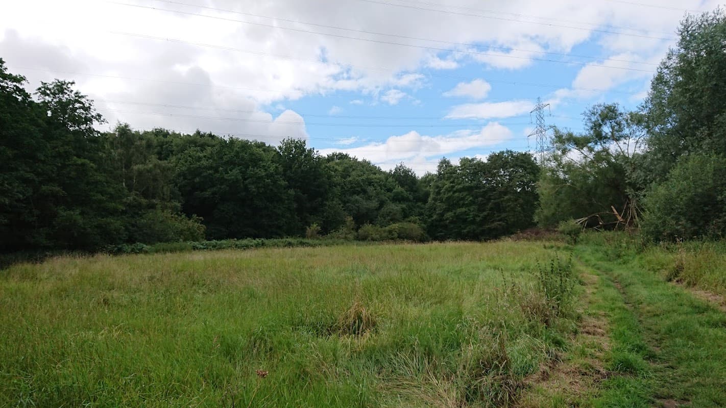 Whiston Meadows - Park in canklow