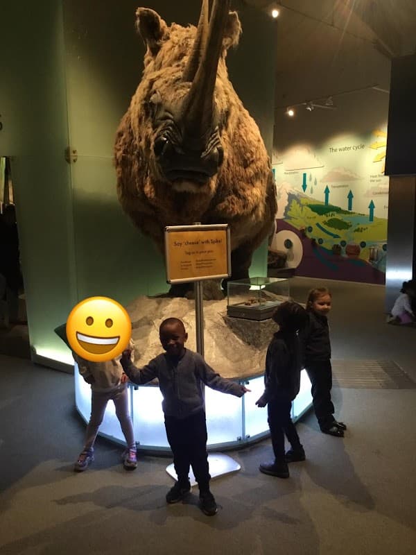 Milestones Childcare Ltd - Nurseries in carbrook