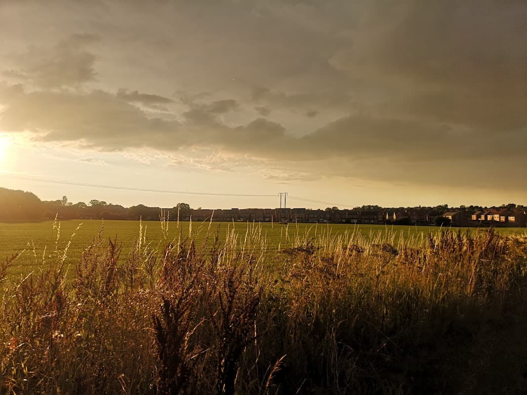 Bus Stop at Cutsyke Road Castleford Ln - Bus Stops in castleford