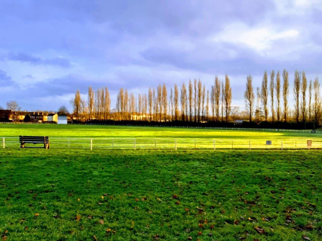 Lush green field with tall trees lining the background under a cloudy sky, benches visible in the foreground.