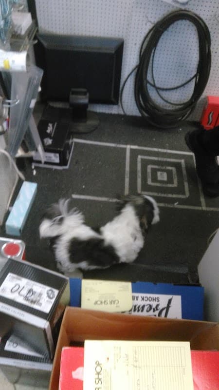 The Car Shop - Car Parts in castleford