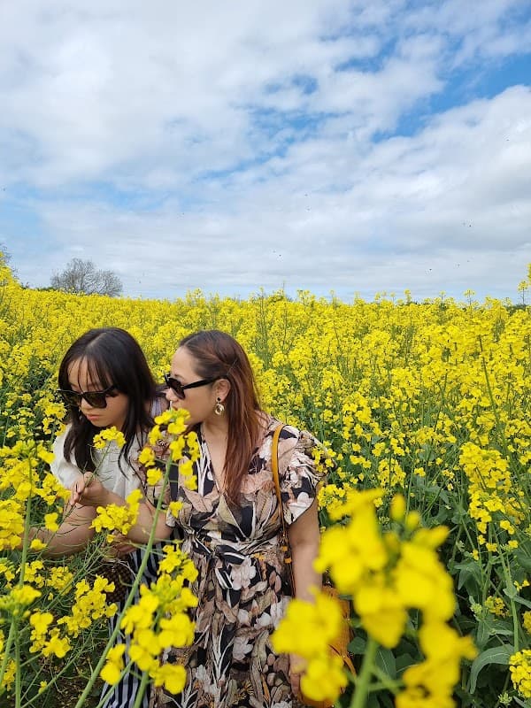 Two women in floral dresses surrounded by vibrant yellow flowers under a partly cloudy sky.