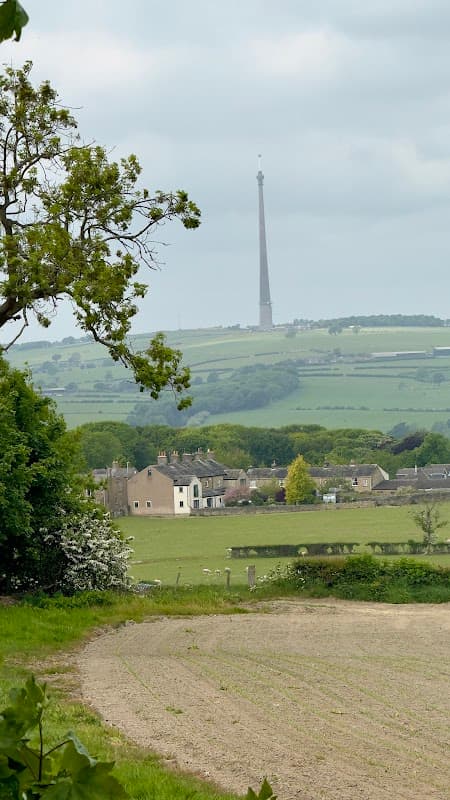 Lush green fields with a distant tower, surrounded by quaint houses and trees under a cloudy sky.
