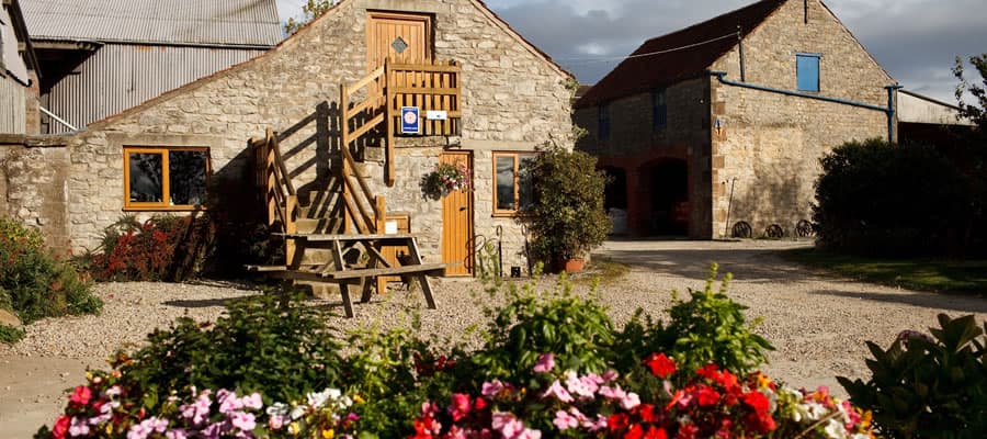 Cliff Farm Camping Barn - Campsite in sinnington