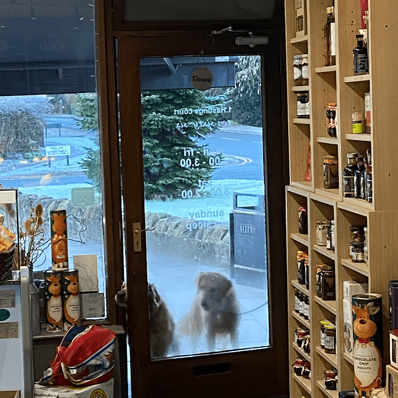 Two dogs peering through a glass door at 1066 Deli & Bakery, shelves stocked with jars visible inside.