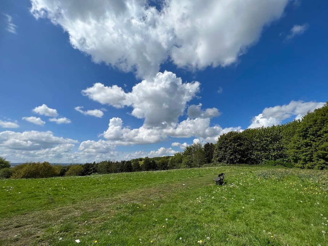 The Avenue Temple Newsam - Park in colton