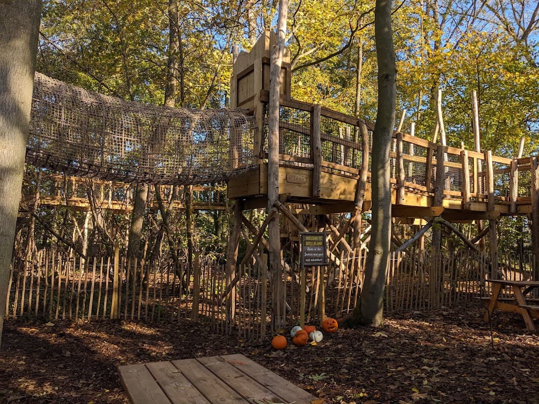 Wooden playground structure among trees, featuring climbing nets and pumpkins on the ground in autumn foliage.
