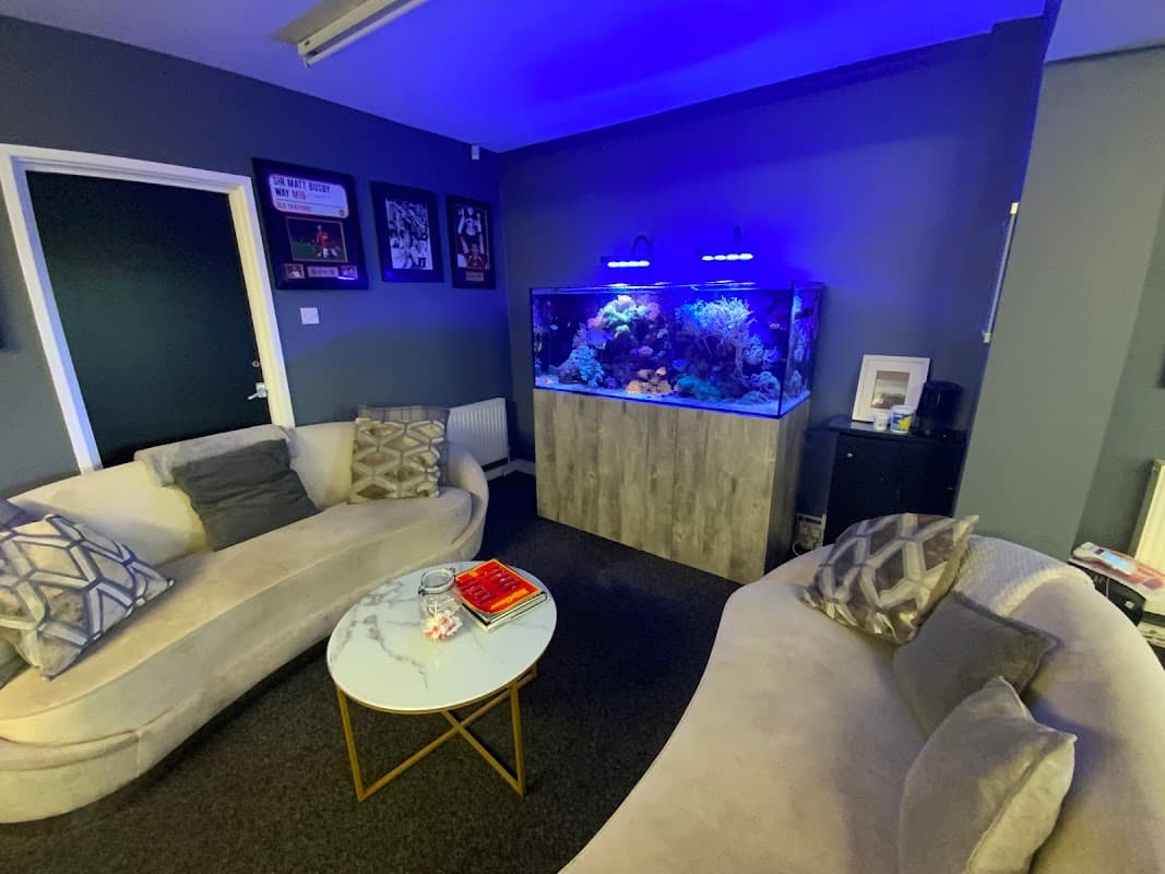 Opal Motors - Car Dealers in conisbrough