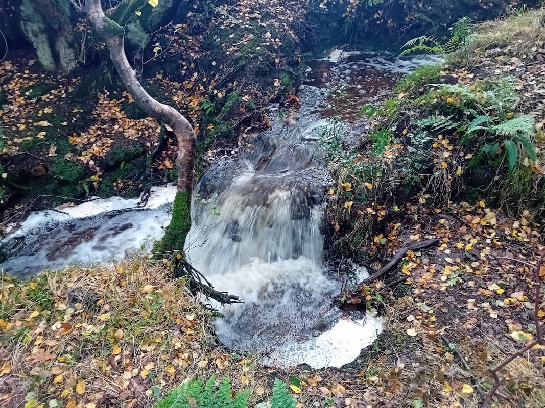 A small waterfall flows over rocks surrounded by autumn leaves and lush greenery in Broadhead Clough nature reserve.